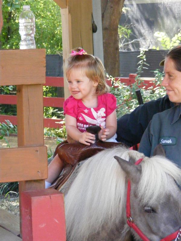 Jess2ndBDay_DALZoo (44) (Medium).JPG - I loved it!!!